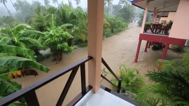 Inondations Pluie Tropicale Dans Rue Île Koh Phangan Thaïlande — Video