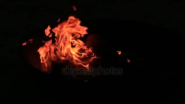 夜の木を燃やして焚き火 キャンプ 大きなかがり火をたいて 燃え盛る焚き火をクローズ アップ — ストック動画