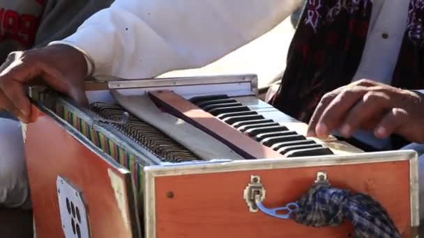 Primer Plano Los Instrumentos Musicales Tradicionales Armonium Tocando Fuerte Jaisalmer — Vídeo de stock
