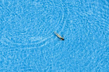 Kız otelde yüzme havuzunda yüzebilirsiniz. Üstten Görünüm