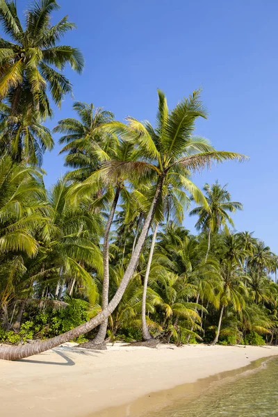 Tropisch strand en zee met coconut palm tree op blauwe hemel in Thailand — Stockfoto