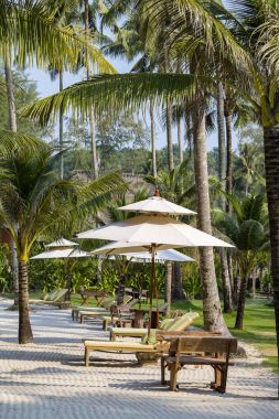 Şezlong plaj ve palmiye ağaçları üzerinde Tayland bulunmaktadır