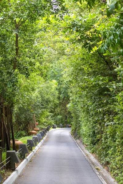 Route asphaltée en forêt tropicale, Thaïlande — Photo