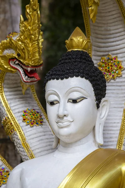 Posąg Buddy w świątyni na wyspie Koh Phangan, Tajlandia. — Zdjęcie stockowe