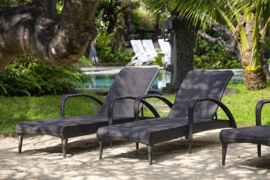 Tropikal plaj Yüzme havuzlu, palm Hindistan cevizi ağaçları ve yakın deniz, Bali, Endonezya rattan daybeds