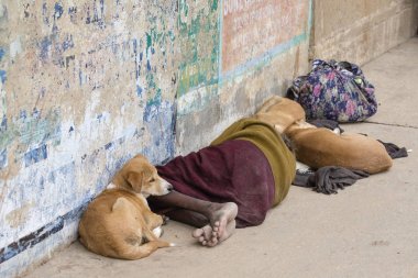 Varanasi, Hindistan sabah Ganj Nehri yakınında sokakta köpeklerle evsiz bir adam yatıyor