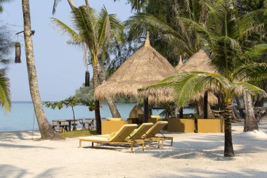 Şezlong plaj ve palm ağaçlar tropikal, Tayland bulunmaktadır