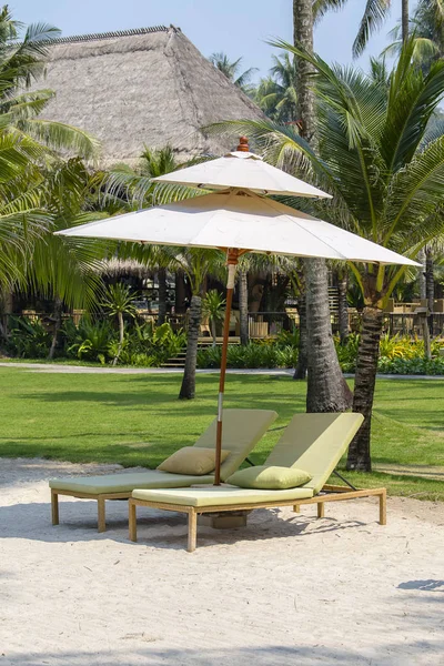 Sunbeds are on the beach and palm trees, Thailand — Stock Photo, Image