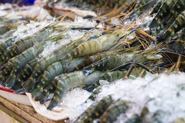 Crevettes fraîches ou crevettes sur glace pour la vente au marché des fruits de mer, Thaïlande — Photo