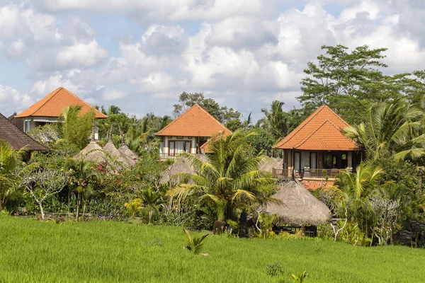 Casa tropical con tejado de azulejos entre arrozales. Bali, Ubud, Indonesia —  Fotos de Stock