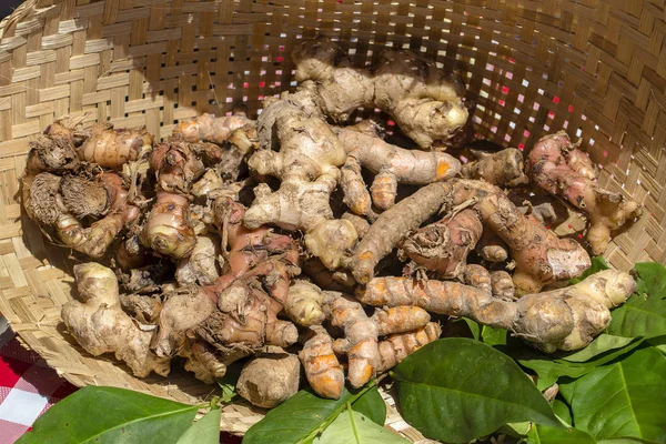 Organic, fresh, raw ginger and turmeric roots for sale at a local farmers market in Bali, Indonesia. Close up — Stock Photo, Image