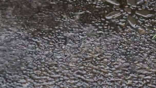Gotas Lluvia Tropical Cayendo Sobre Superficie Piedra Jardín Bali Indonesia — Vídeos de Stock