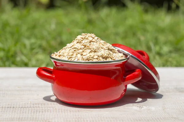 Red pan with dry oat flakes — Stock Photo, Image