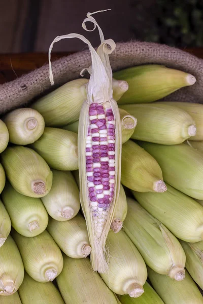 Biologischer, frischer, süßer Mais zum Verkauf auf einem lokalen Bauernmarkt in Bali, Indonesien — Stockfoto