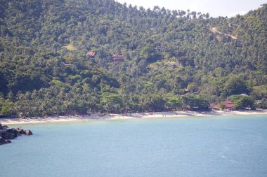 Su tropikal kum plaj, Hindistan cevizi palmiye ağaçları ve deniz adası Koh Samui, Tayland
