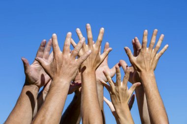 Group of people pulling hands in the air in sunlight. Many hands against blue sky background clipart