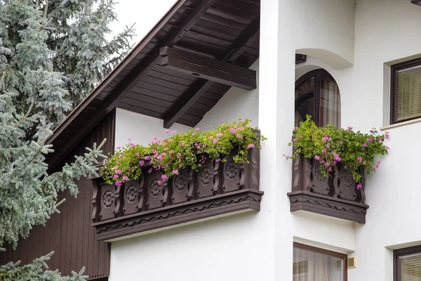 Квіткові горщики й кімнатних рослин на балконі, Угорщина — стокове фото