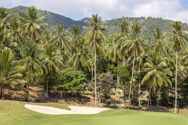 Пейзаж красивого зеленого поля для гольфа и кокосовой пальмы — стоковое фото