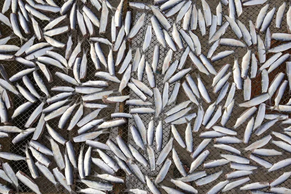 Soltorkade saltad fisk innan tillagning sälja på marknaden i Thailand — Stockfoto