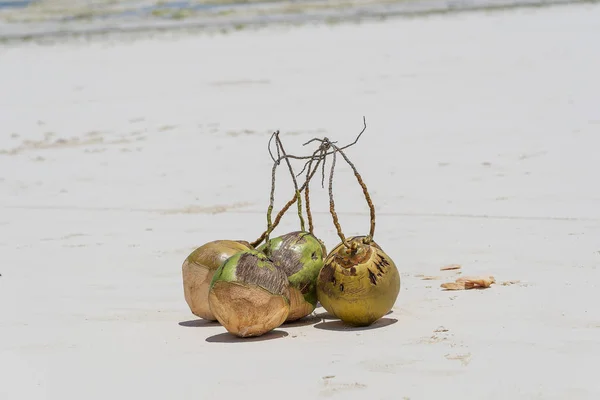 砂のビーチで新鮮なココナッツ, Zanzibar,タンザニア — ストック写真