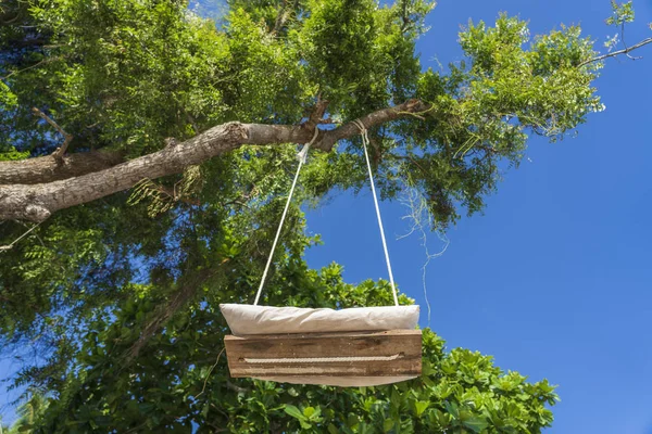 Une balançoire sur une corde est accrochée à un arbre tropical sur la plage de l'île de Zanzibar, en Tanzanie, en Afrique de l'Est. Vue du bas — Photo