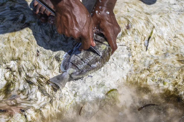 L'uomo africano prepara il pesce di mare in vendita sull'isola di Zanzibar, Tanzania, Africa, vicino — Foto Stock