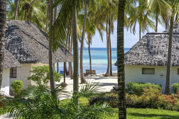 Casas tropicais e coqueiros em uma praia de areia perto do mar em dia ensolarado na ilha de Zanzibar, na Tanzânia, África — Fotografia de Stock