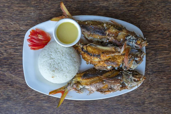 Poisson grillé servi avec sauce, riz et tomate, fermer — Photo