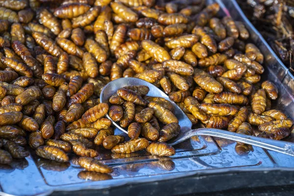 Pupa, bicho-da-seda comida frita, larvas de insetos fritos lanche como exótico na Tailândia. Cozinha tailandesa no mercado de comida de rua — Fotografia de Stock