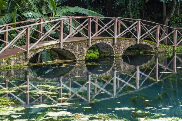 Puente arqueado sobre un lago con reflexión, Tanzania, África. Pasarela sobre un estanque —  Fotos de Stock