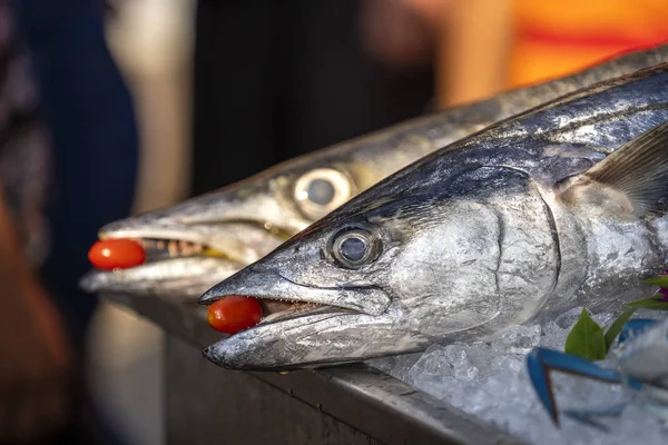 Nahaufnahme von Barrakuda-Zähnen mit roten Tomaten. Meer frischer Fisch Barrakuda auf Street Food Markt in Thailand. Meeresfrüchte-Konzept — Stockfoto