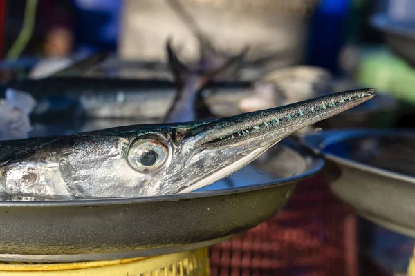 Moře čerstvé ryby barracuda na trhu potravin na ostrově Koh Samui, Thajsko, zblízka. Koncept mořských plodů — Stock fotografie