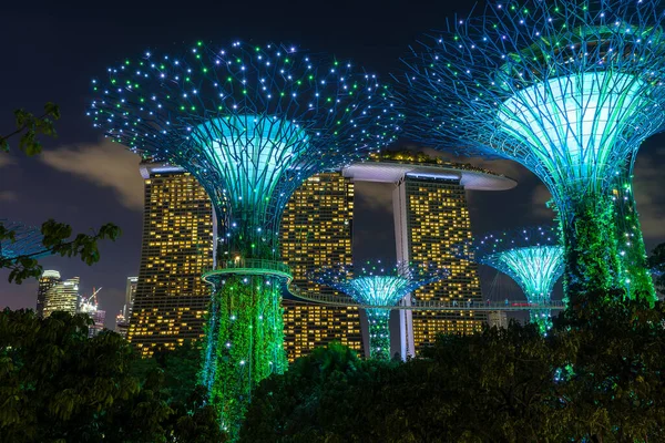 Singapur Singapur Luty 2020 Hotel Marina Bay Sands Kolorowe Superdrzewa — Zdjęcie stockowe