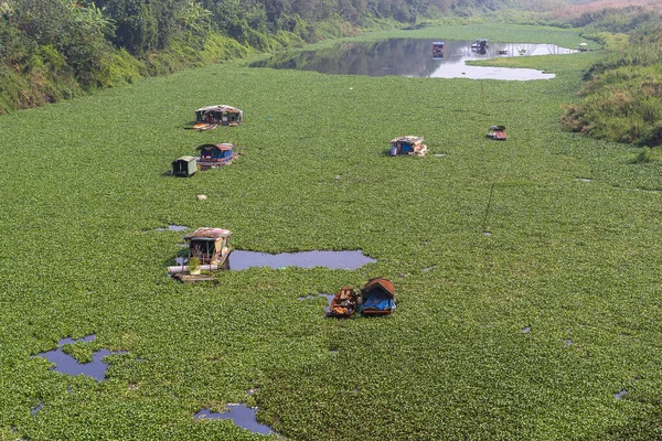 Tradizionale Vietnamita Barche Residenziali Sulla Verde Acqua Erbosa Red River — Foto Stock