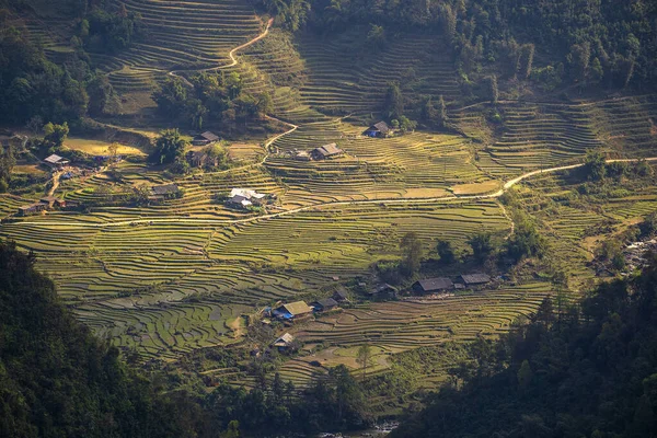 Campos Arroz Terraços Verdes Paisagem Típica Perto Aldeia Montanha Sapa — Fotografia de Stock