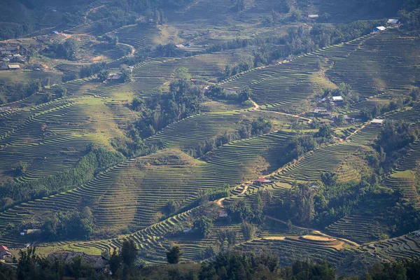 Groene Rijstvelden Met Terrassen Het Typische Landschap Nabij Bergdorp Sapa — Stockfoto