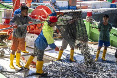Kota Kinabalu, Malezya - 25 Şubat 2020: Malezyalı balıkçılar taze avlanan balıkları bir gemiden Kota Kinabalu, Sabah, Malezya 'daki sokak filipin pazarındaki plastik konteynırlara yüklüyorlar