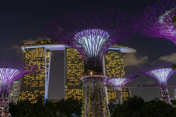 Singapur Singapur Luty 2020 Hotel Marina Bay Sands Kolorowe Superdrzewa — Zdjęcie stockowe