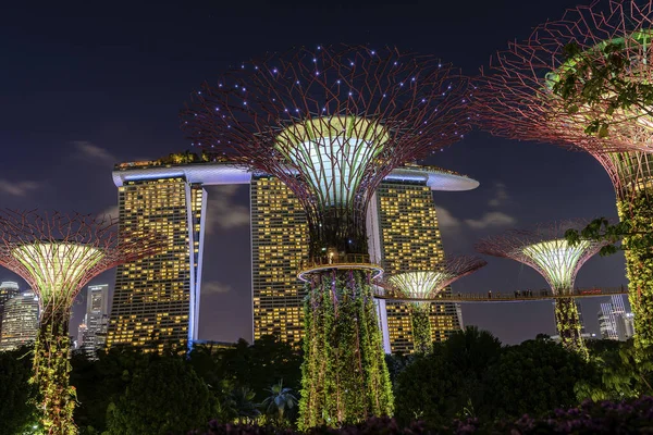 Singapur Singapur Luty 2020 Hotel Marina Bay Sands Kolorowe Superdrzewa — Zdjęcie stockowe