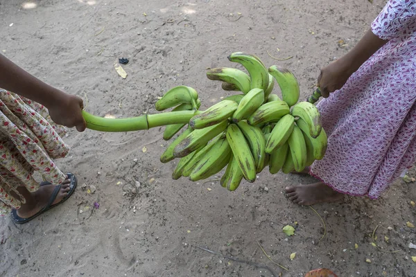 Dos Niñas Africanas Llevan Montón Plátanos Verdes Crudos Calle Isla — Foto de Stock