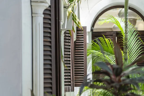 Beyaz sıva duvarında ahşap panjurlar ve bahçede yeşil palmiye ağaçları olan pencere. Ada Zanzibar, Tanzanya, Doğu Afrika, kapatın