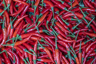 Eski kasaba Hanoi, Vietnam 'daki sokak yemekleri pazarında satılık kırmızı kırmızı biberler. Kapat.