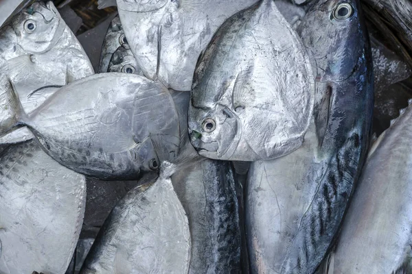 Pesce Mare Fresco Vendita Mercato Alimentare Strada Hoi Old Town — Foto Stock