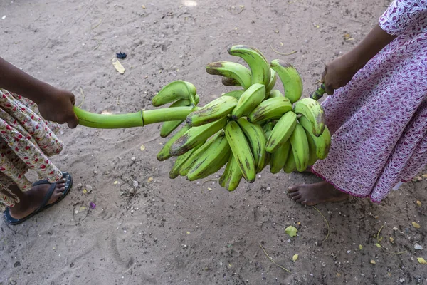 Dos Niñas Africanas Llevan Montón Plátanos Verdes Crudos Calle Isla — Foto de Stock