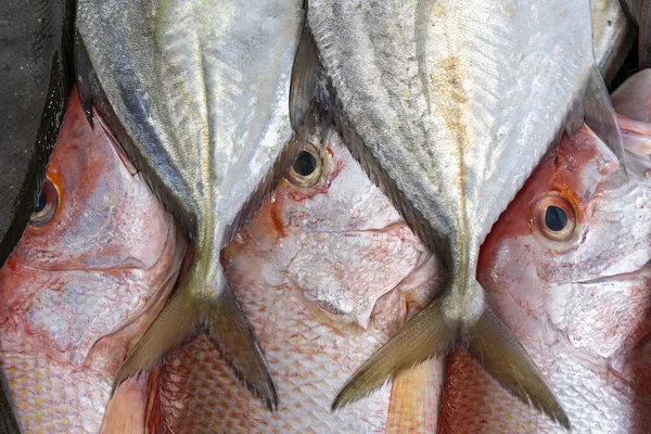 Čerstvé Mořské Ryby Prodej Trhu Potravinami Ulici Kota Kinabalu Ostrov — Stock fotografie