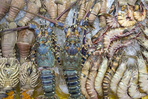 Fresh Lobster Shrimps Prawns Sell Street Food Market Kota Kinabalu — Stock Photo, Image
