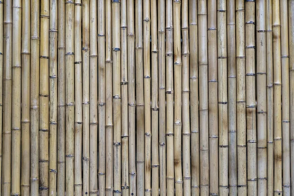 Bamboo Fence Wall Texture Background Interior Exterior Design Close — Stock Photo, Image
