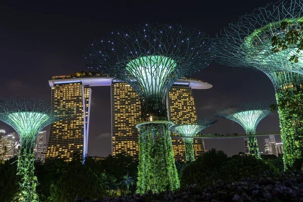 Singapur Ciudad Singapur Febrero 2020 Marina Bay Sands Hotel Coloridos — Foto de Stock