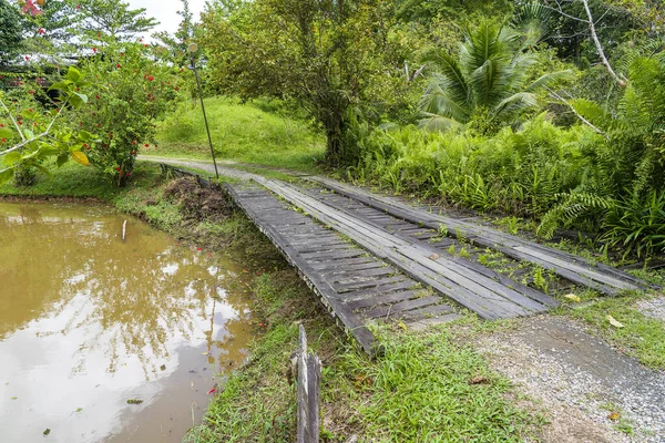 Borneo Malezya Daki Göl Kıyısındaki Eski Ahşap Köprü — Stok fotoğraf