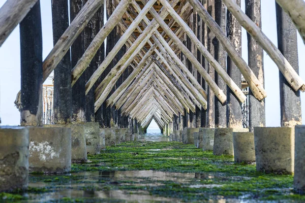 Timber Piles Wooden Bridge Close Ocean Low Tide Coast Island — Stock Photo, Image